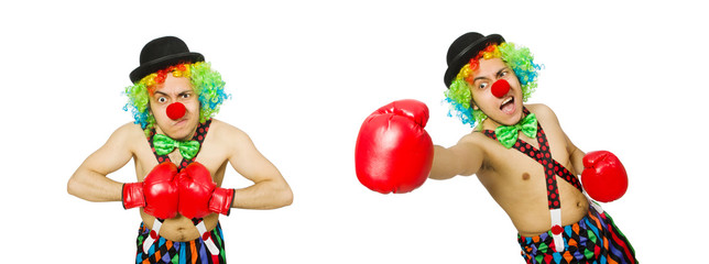 Clown with boxing gloves isolated on the white