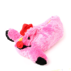 Kid's sandals shoe on white