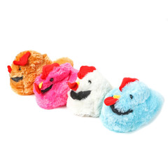 Kid's sandals shoe on white