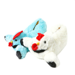 Kid's sandals shoe on white