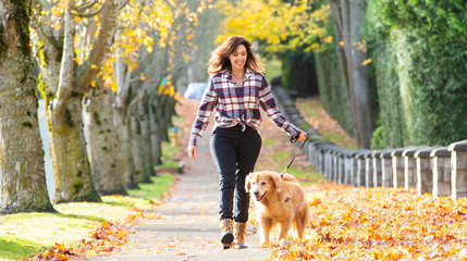 Woman walking golden retriever dog in Fall leaves - Powered by Adobe