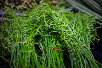 Organic fern sell as green and healthy vegetables at Hat Yai's street market. 