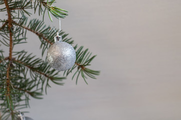 silver ball on a spruce branche, the Christmas decorations on fir branche (horizontally)
