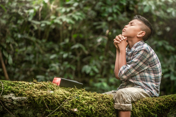 Boy praying and reading book or holy bible on tree with moss. Children and religion.