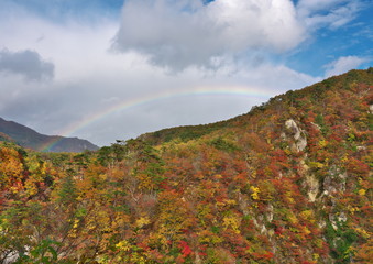 鳴子峡の紅葉（日本）