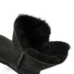 Women's demi-season high boots isolated on white background