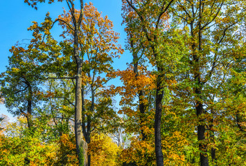 Prague autumn parks.