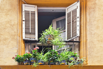 window decorated with pots flowers