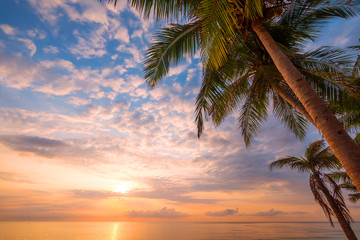Naklejka na ściany i meble Seascape of beautiful tropical beach with palm tree at sunrise. sea view beach in summer background.