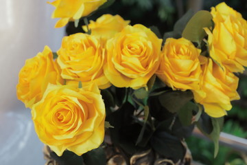 Sam Rong area, Samut Prakan city, Thailand: flowers at Chinese Temple