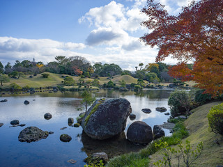 Fish pond and red leaves tree