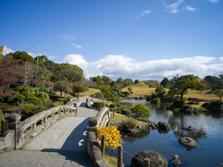 Bridge and fish pond
