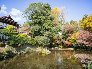 Japan Garden
