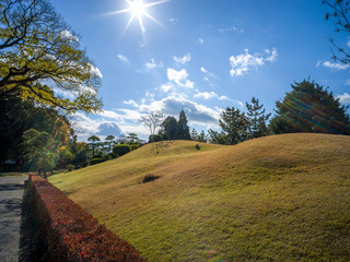 Clear Sky and green field