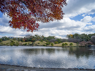 Red leaves and fish pond