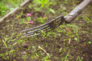 Working with pitchfork in the garden. Selective focus.