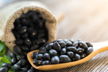 Black bean on a wooden spoon,copy space.