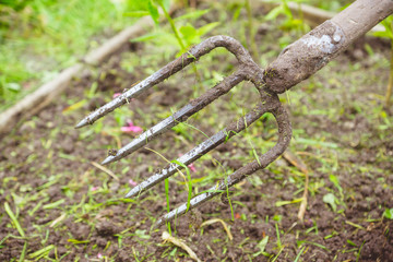 Working with pitchfork in the garden. Selective focus.