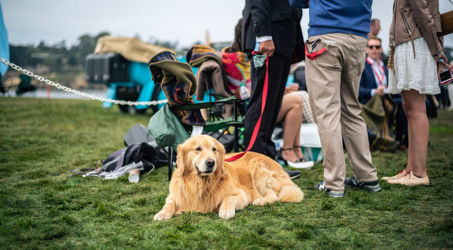 Pebble Beach Concours