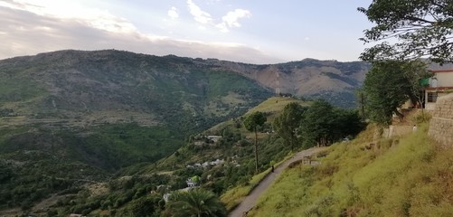 Fototapeta premium dav