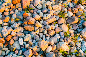 Pebbles lying on shore in bright sunlight. Stone texture