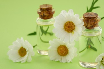 Chamomile essential oil set in glass bottles and chamomile on a  light green  background.Organic Natural Pure Oil