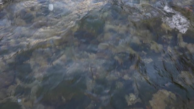 Transparent water in a mountain river, beautifully flowing. Visible stones at the bottom.
