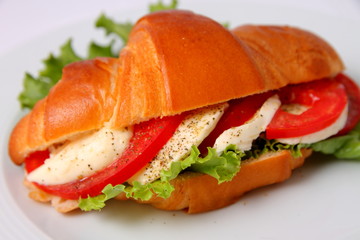 sandwich with cheese and tomatoes