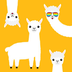 Alpaca llama animal set. Face in rainbow glassess. Cute cartoon funny kawaii character. Fluffy hair fur. T-shirt, greeting card, poster print. Baby collection. Flat design. Yellow background.