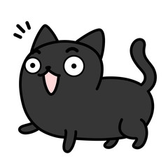 Black cat