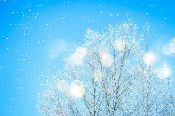 Blue Winter Background. Snow Treetops against blue sky