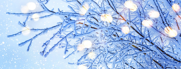 Blue Winter fairy Background. Snow tree branches and lights