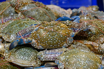 蟹・カニ・渡り・シーフード・魚介・海鮮