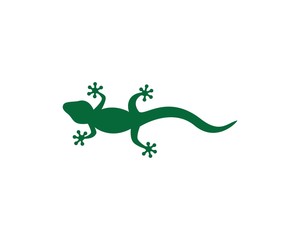Lizard logo illustration