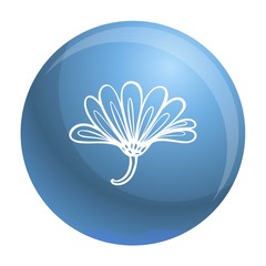 Fototapeta na wymiar Herb calendula icon. Simple illustration of herb calendula vector icon for web design isolated on white background
