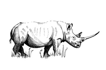 Naklejka premium Rhino ręcznie rysowane ilustracje