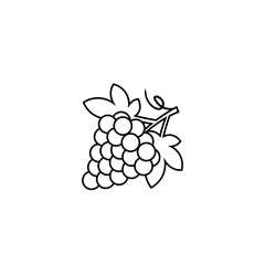 Vector outline grape logo design template. Concept design element and icon in linear style. grapes isolated cartoon illustration.