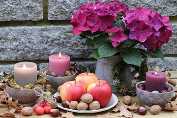 autumn still life with apples, hydrangea and candles