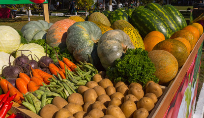 Exhibition of ripe vegetables. Vintage at the exhibition of agricultural products. Vintage farm, peasant.