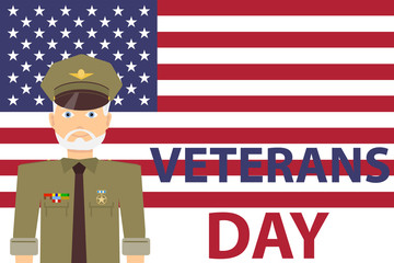 Veteran's Day, a man in military uniform with awards on the background of the US flag. Flat design, vector illustration, vector.