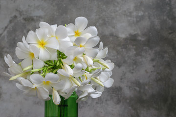 Beautiful Plumeria Flowers in vase glass with cement wall background.