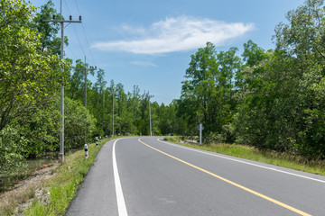 The paved road with mangrove forest and beautiful sky to go to the sea in Phang Nga,Thailand