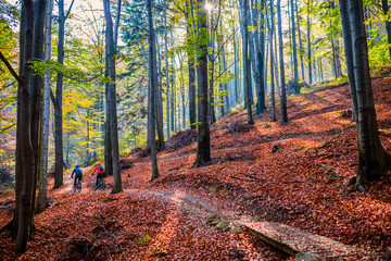 Cycling woman and man at Beskidy mountains autumn forest landscape. Couple riding MTB enduro track. Outdoor sport activity.