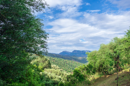 OruneBilder StockFotos & Videos. Adobe Stock