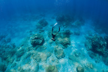 Professional freediver in wetsuit dive in the ocean