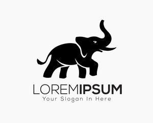 elephant logo, icon, symbol design inspiration with confidence