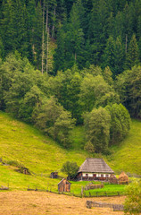Isolated wooden house at forest edge in autumn, Bucovina, Romania