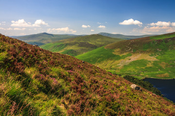 Scenic landscape of Wicklow Mountains in summer, Sally Gap, Ireland