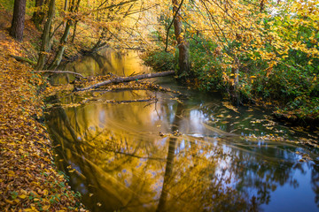 Jesień nad rzeką, rzeka Moszczenica w gminie Zgierz, Rezerwat grądy nad Moszczenicą © Piotr Szpakowski