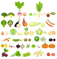 a set of icons of vegetables of different species.